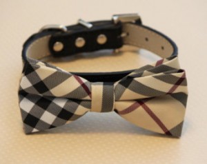 bow tie collar